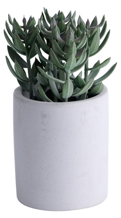 Kunstig plante tetragona H19 cm